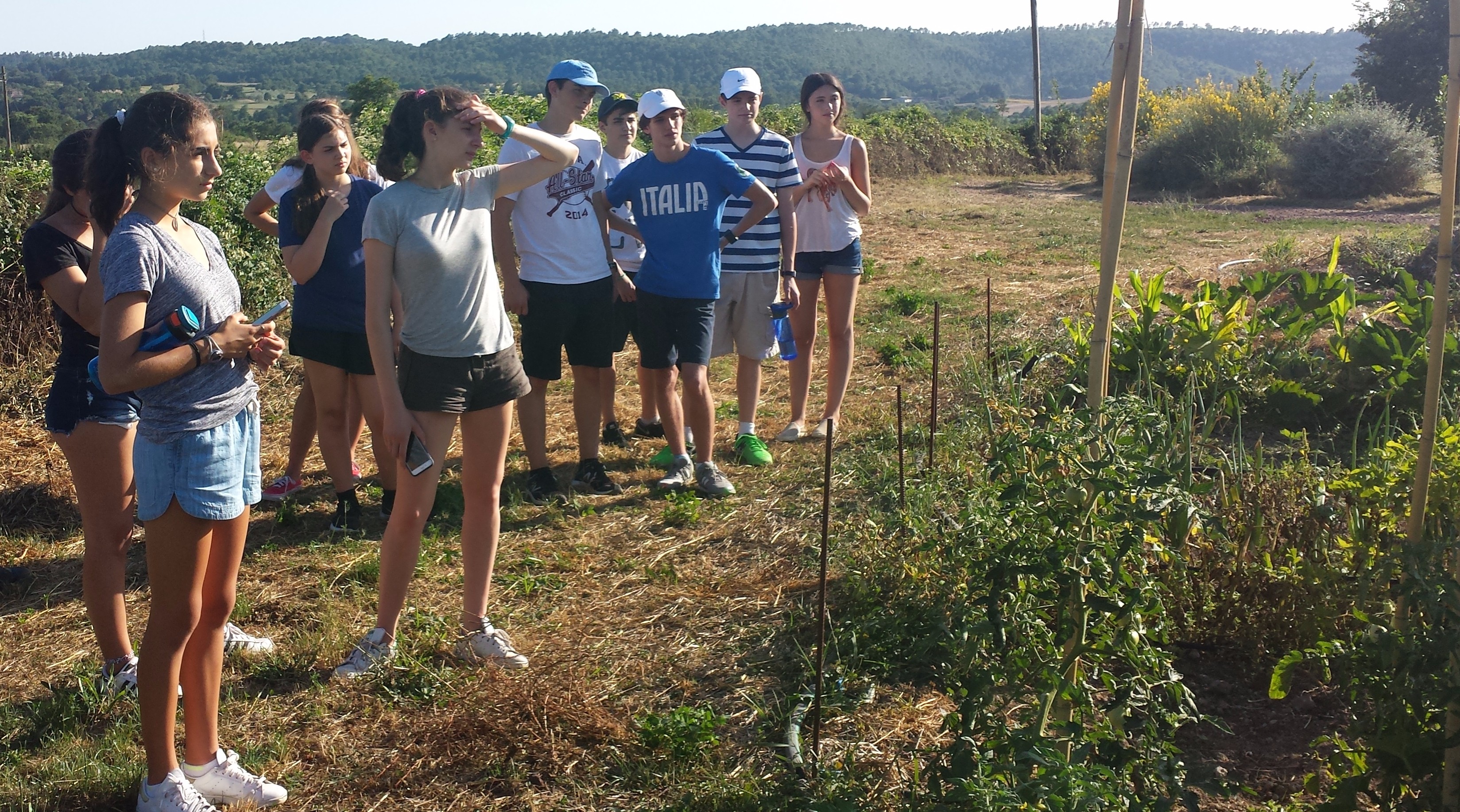 Together we get a lay of the land.