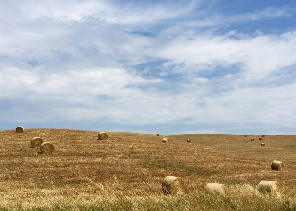 Wheat fields have just been harvested in the countryside